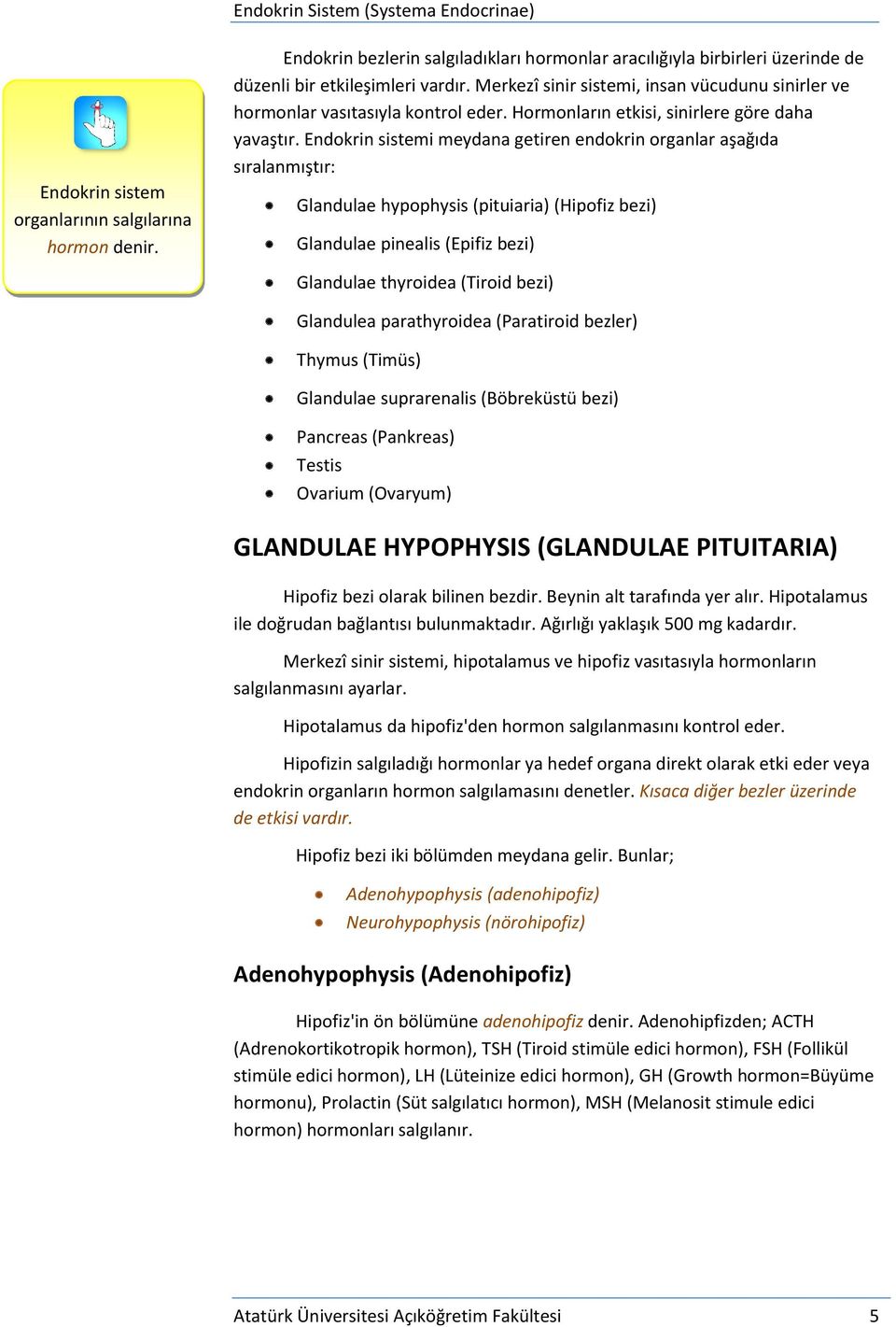 Endokrin sistemi meydana getiren endokrin organlar aşağıda sıralanmıştır: Glandulae hypophysis (pituiaria) (Hipofiz bezi) Glandulae pinealis (Epifiz bezi) Glandulae thyroidea (Tiroid bezi) Glandulea