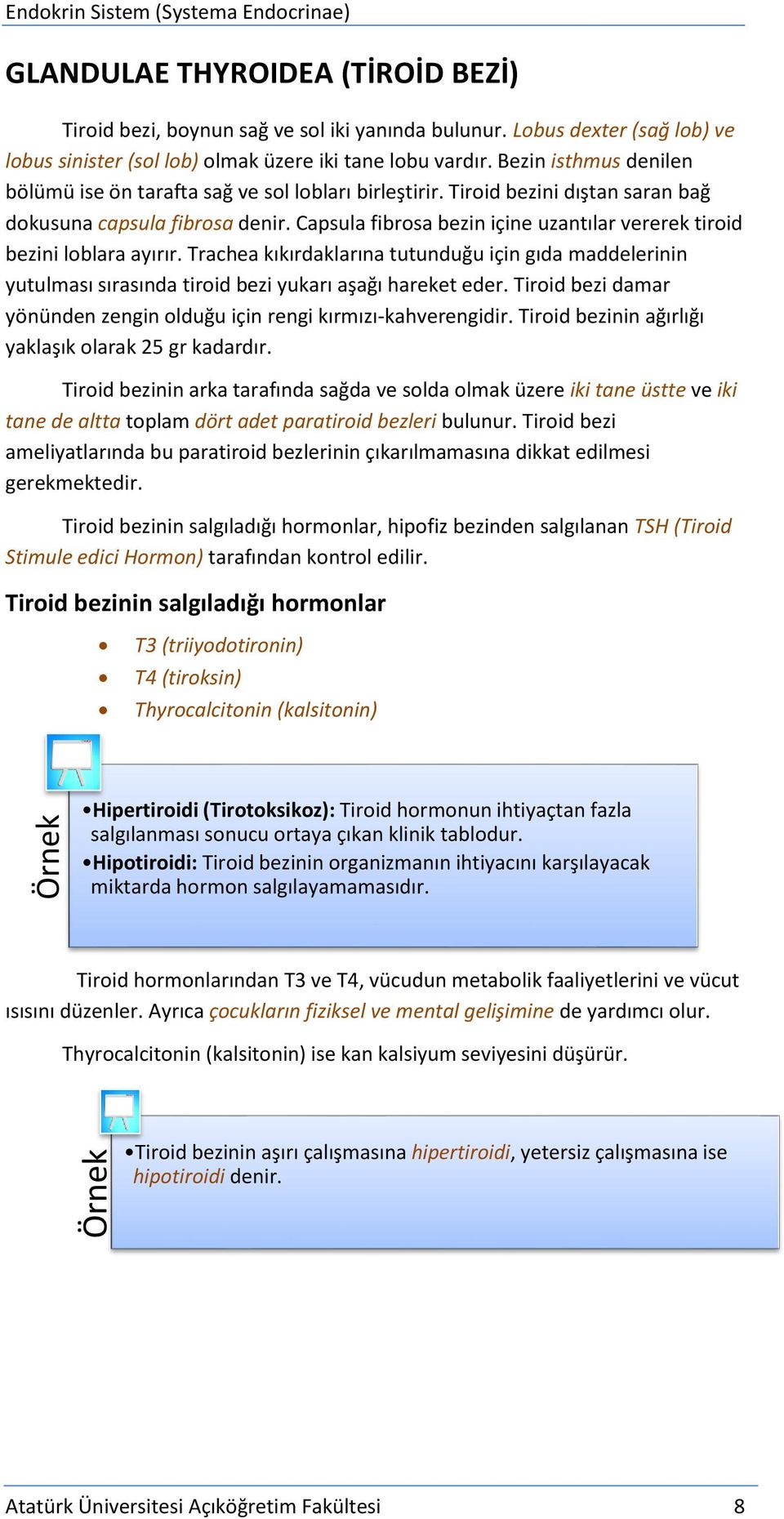 Tiroid bezini dıştan saran bağ dokusuna capsula fibrosa denir. Capsula fibrosa bezin içine uzantılar vererek tiroid bezini loblara ayırır.