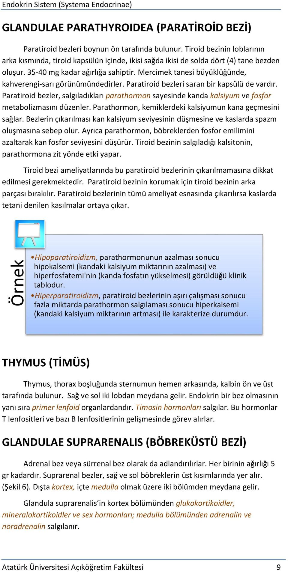 Mercimek tanesi büyüklüğünde, kahverengi-sarı görünümündedirler. Paratiroid bezleri saran bir kapsülü de vardır.