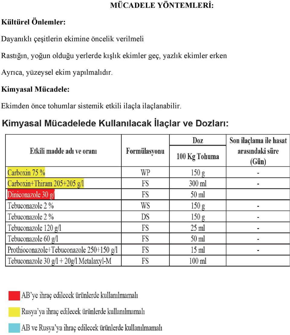 geç, yazlık ekimler erken Ayrıca, yüzeysel ekim yapılmalıdır.