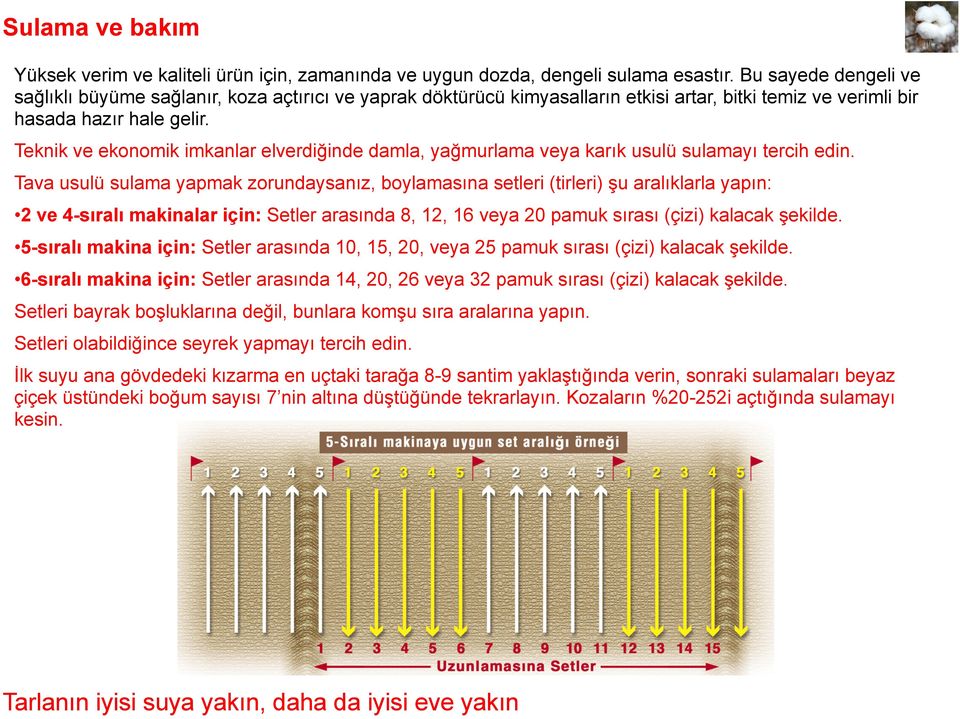 Teknik ve ekonomik imkanlar elverdiğinde damla, yağmurlama veya karık usulü sulamayı tercih edin.