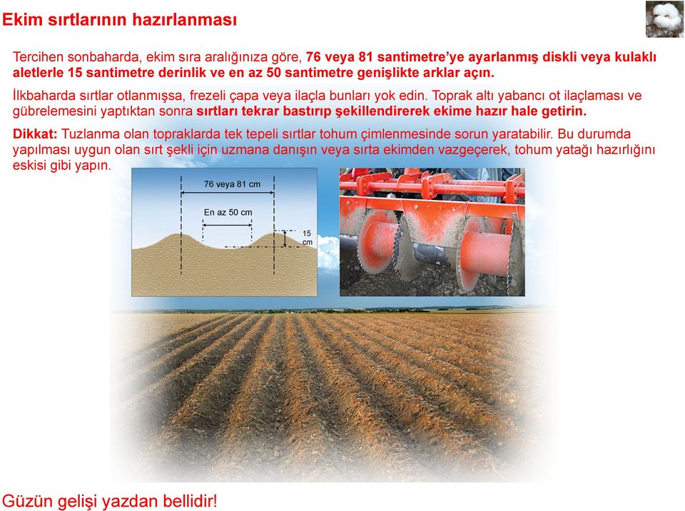 Toprak altı yabancı ot ilaçlaması ve gübrelemesini yaptıktan sonra sırtları tekrar bastırıp şekillendirerek ekime hazır hale getirin.