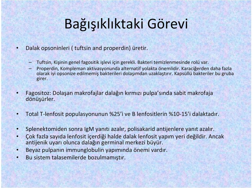 Fagositoz: Dolaşan makrofajlar dalağın kırmızı pulpa sında sabit makrofaja dönüşürler. Total T lenfosit populasyonunun %25 i ve B lenfositlerin %10 15 i dalaktadır.