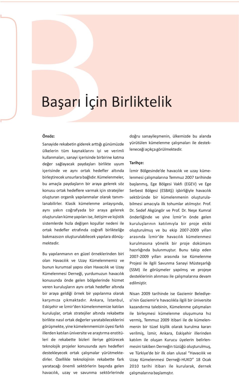 Kümelenmeler, bu amaçla paydaşların bir araya gelerek söz konusu ortak hedeflere varmak için stratejiler oluşturan organik yapılanmalar olarak tanımlanabilirler.