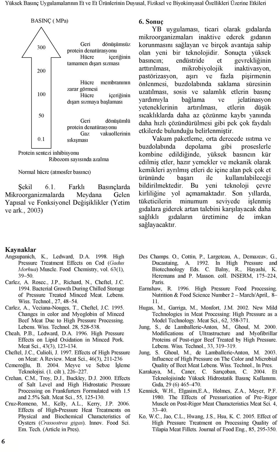 vakuollerinin sıkışması Protein sentezi inhibisyonu Ribozom sayısında azalma Normal hücre (atmosfer basıncı) Şekil 6.1.