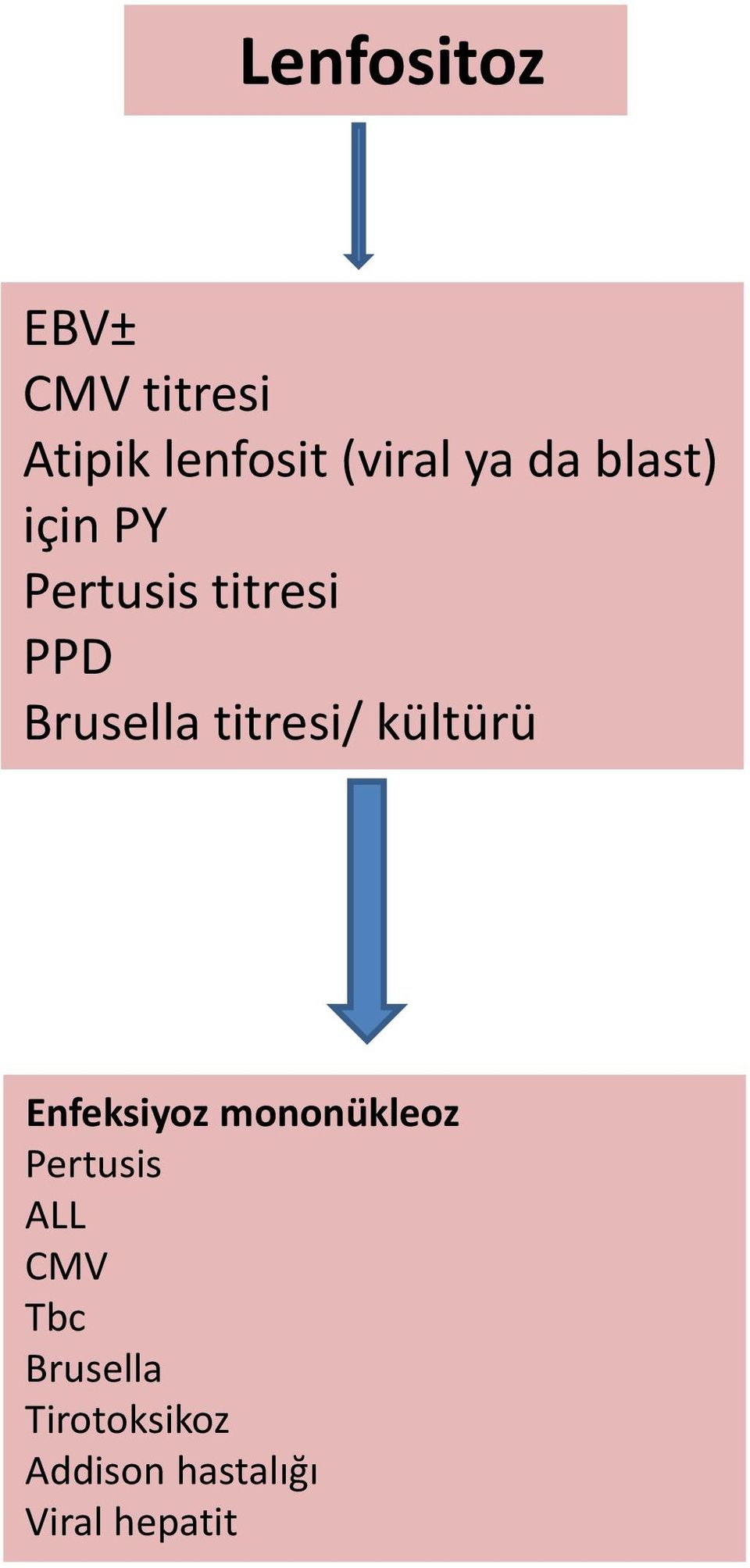 titresi/ kültürü Enfeksiyoz mononükleoz Pertusis ALL