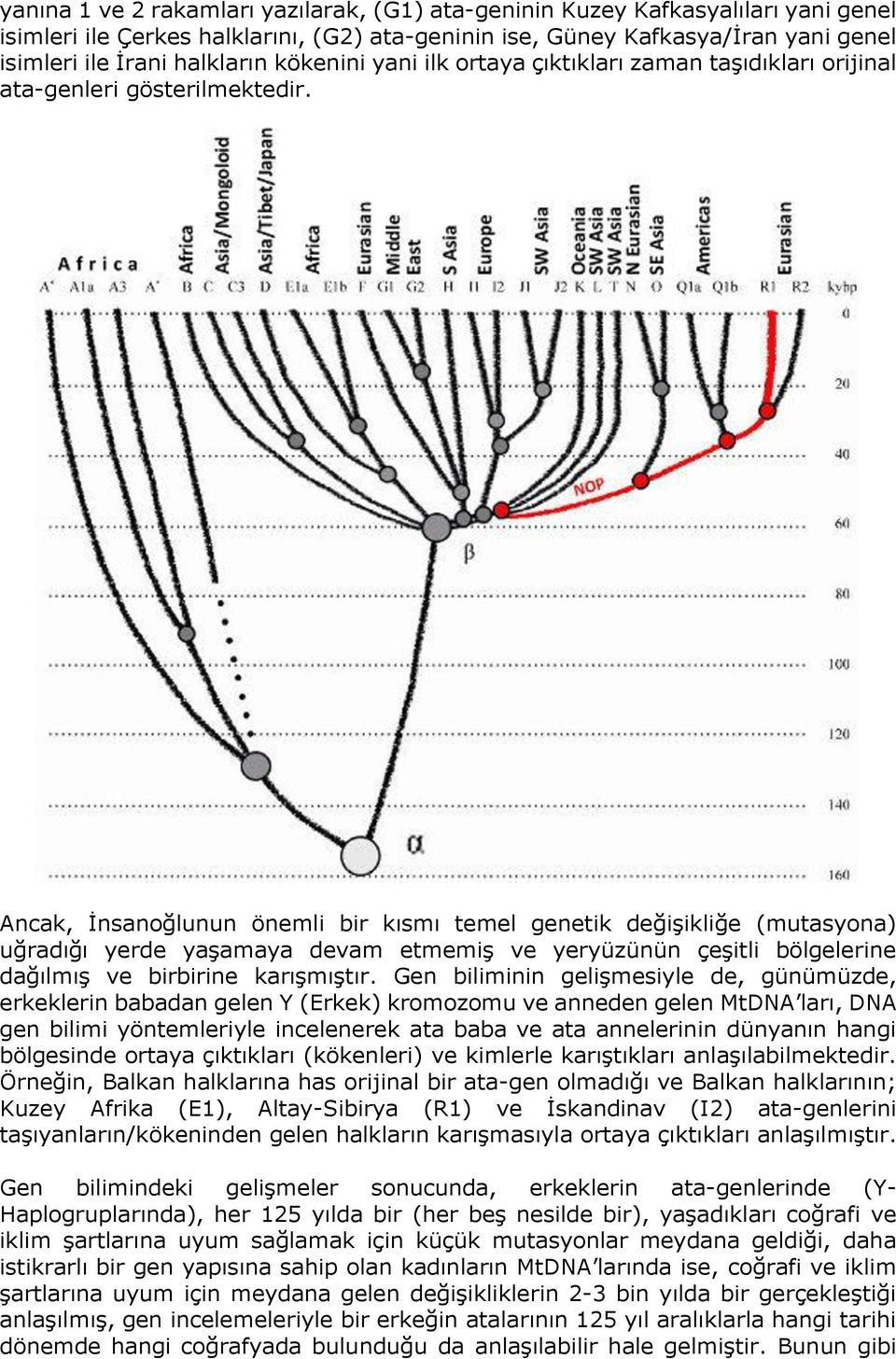 Ancak, İnsanoğlunun önemli bir kısmı temel genetik değişikliğe (mutasyona) uğradığı yerde yaşamaya devam etmemiş ve yeryüzünün çeşitli bölgelerine dağılmış ve birbirine karışmıştır.