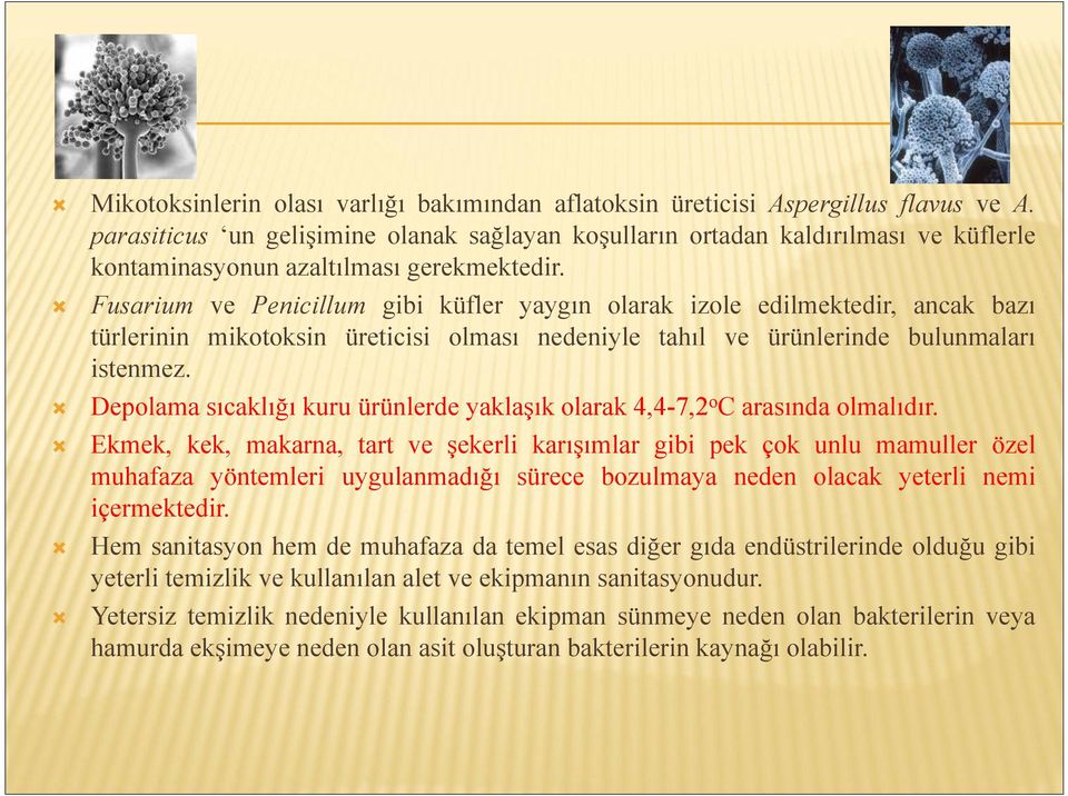 Fusarium ve Penicillum gibi küfler yaygın olarak izole edilmektedir, ancak bazı türlerinin mikotoksin üreticisi olması nedeniyle tahıl ve ürünlerinde bulunmaları istenmez.