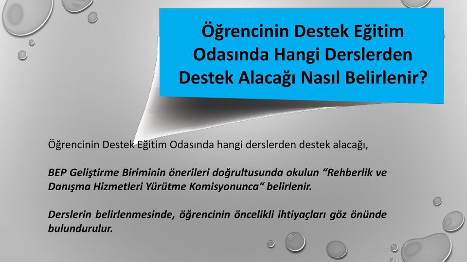 Biriminin önerileri doğrultusunda okulun Rehberlik ve Danışma Hizmetleri Yürütme