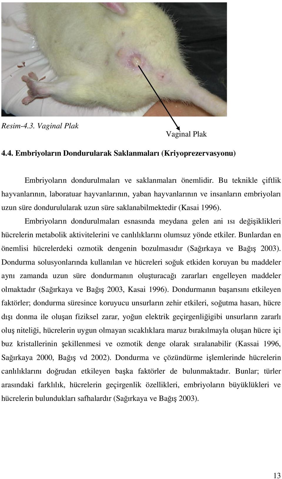 Embriyoların dondurulmaları esnasında meydana gelen ani ısı değişiklikleri hücrelerin metabolik aktivitelerini ve canlılıklarını olumsuz yönde etkiler.