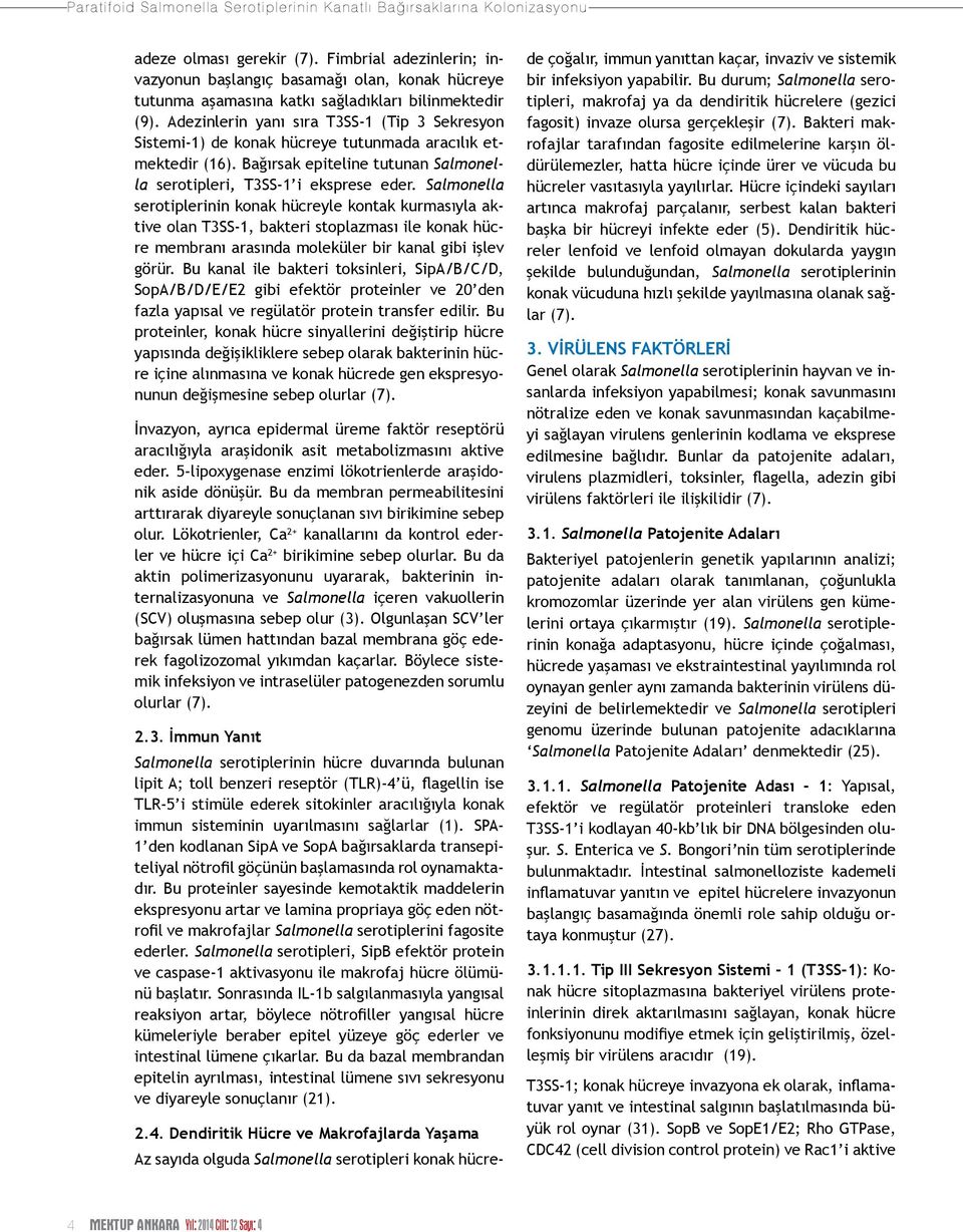 Adezinlerin yanı sıra T3SS-1 (Tip 3 Sekresyon Sistemi-1) de konak hücreye tutunmada aracılık etmektedir (16). Bağırsak epiteline tutunan Salmonella serotipleri, T3SS-1 i eksprese eder.