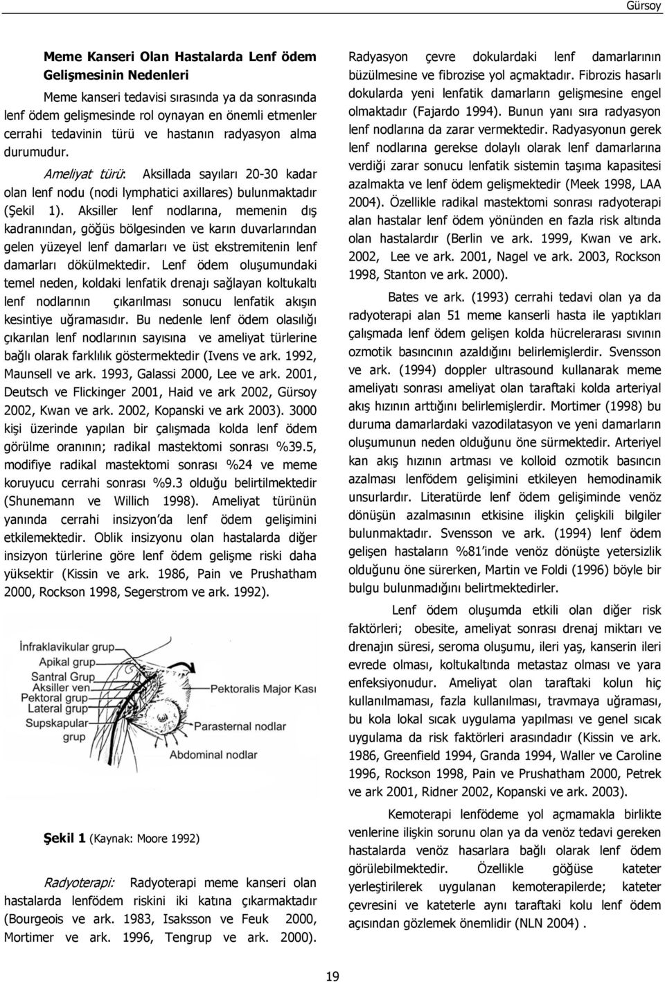 Aksiller lenf nodlarına, memenin dış kadranından, göğüs bölgesinden ve karın duvarlarından gelen yüzeyel lenf damarları ve üst ekstremitenin lenf damarları dökülmektedir.