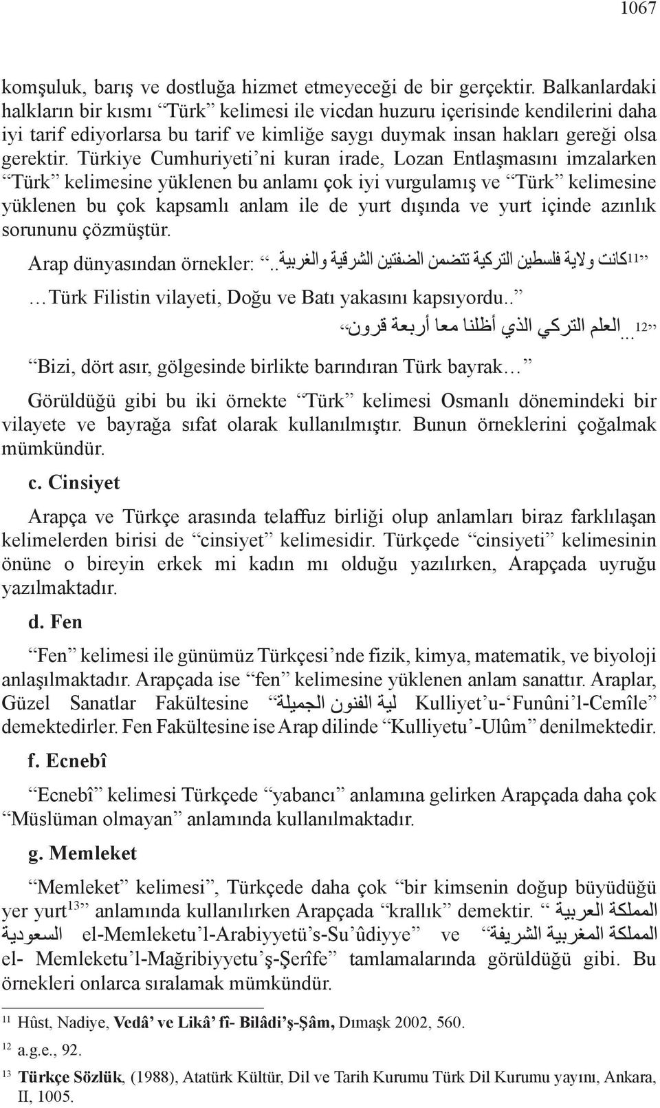 Türkiye Cumhuriyeti ni kuran irade, Lozan Entlaşmasını imzalarken Türk kelimesine yüklenen bu anlamı çok iyi vurgulamış ve Türk kelimesine yüklenen bu çok kapsamlı anlam ile de yurt dışında ve yurt