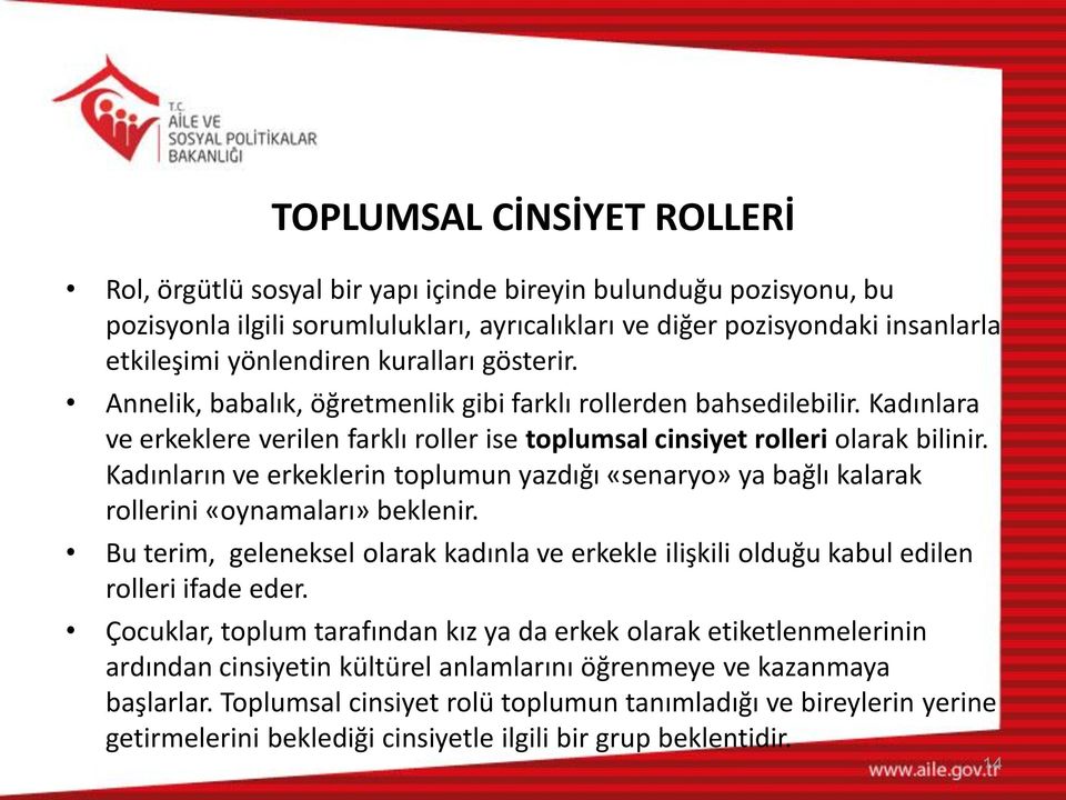 Kadınların ve erkeklerin toplumun yazdığı «senaryo» ya bağlı kalarak rollerini «oynamaları» beklenir. Bu terim, geleneksel olarak kadınla ve erkekle ilişkili olduğu kabul edilen rolleri ifade eder.