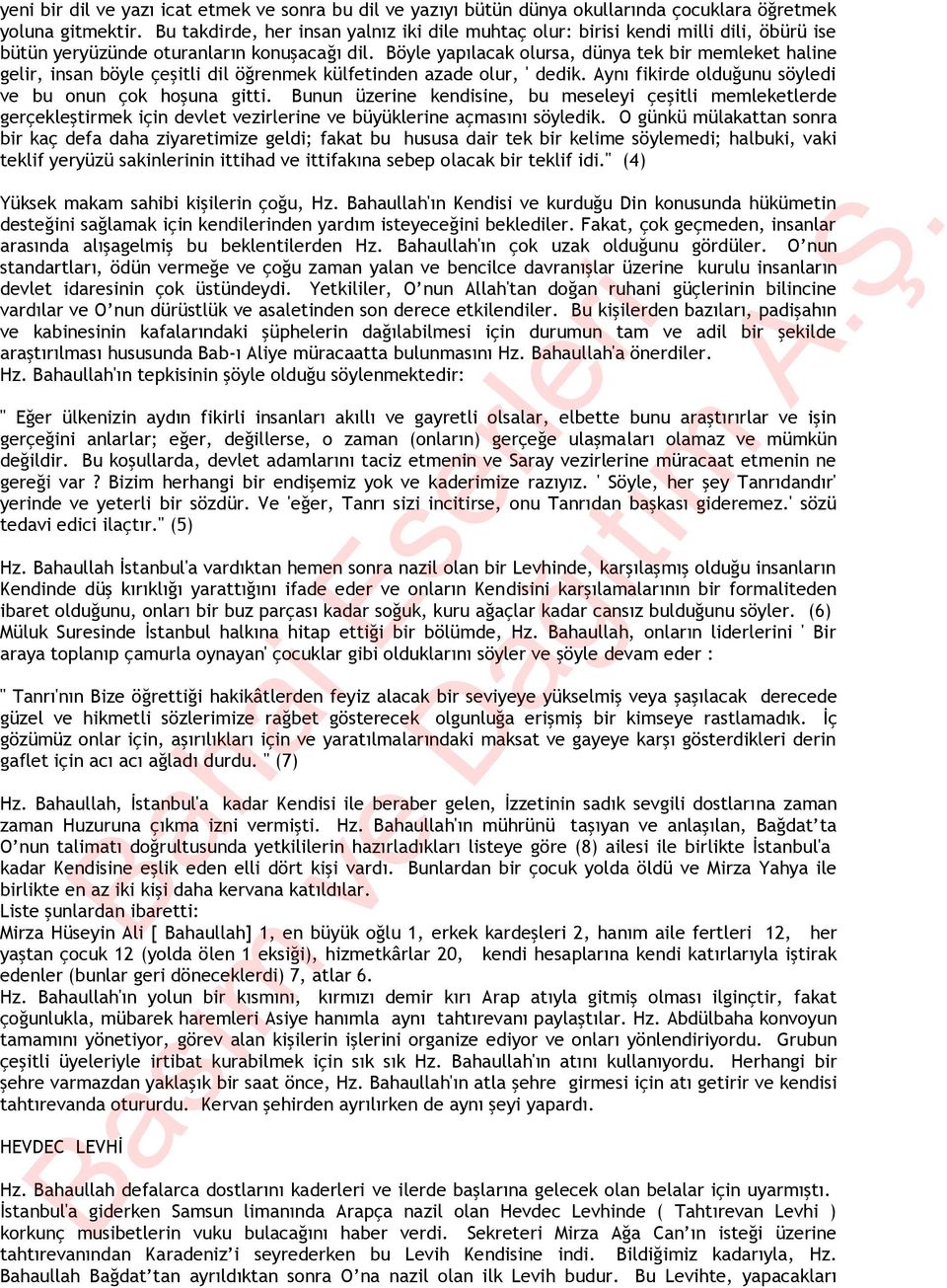 Böyle yapılacak olursa, dünya tek bir memleket haline gelir, insan böyle çeşitli dil öğrenmek külfetinden azade olur, ' dedik. Aynı fikirde olduğunu söyledi ve bu onun çok hoşuna gitti.