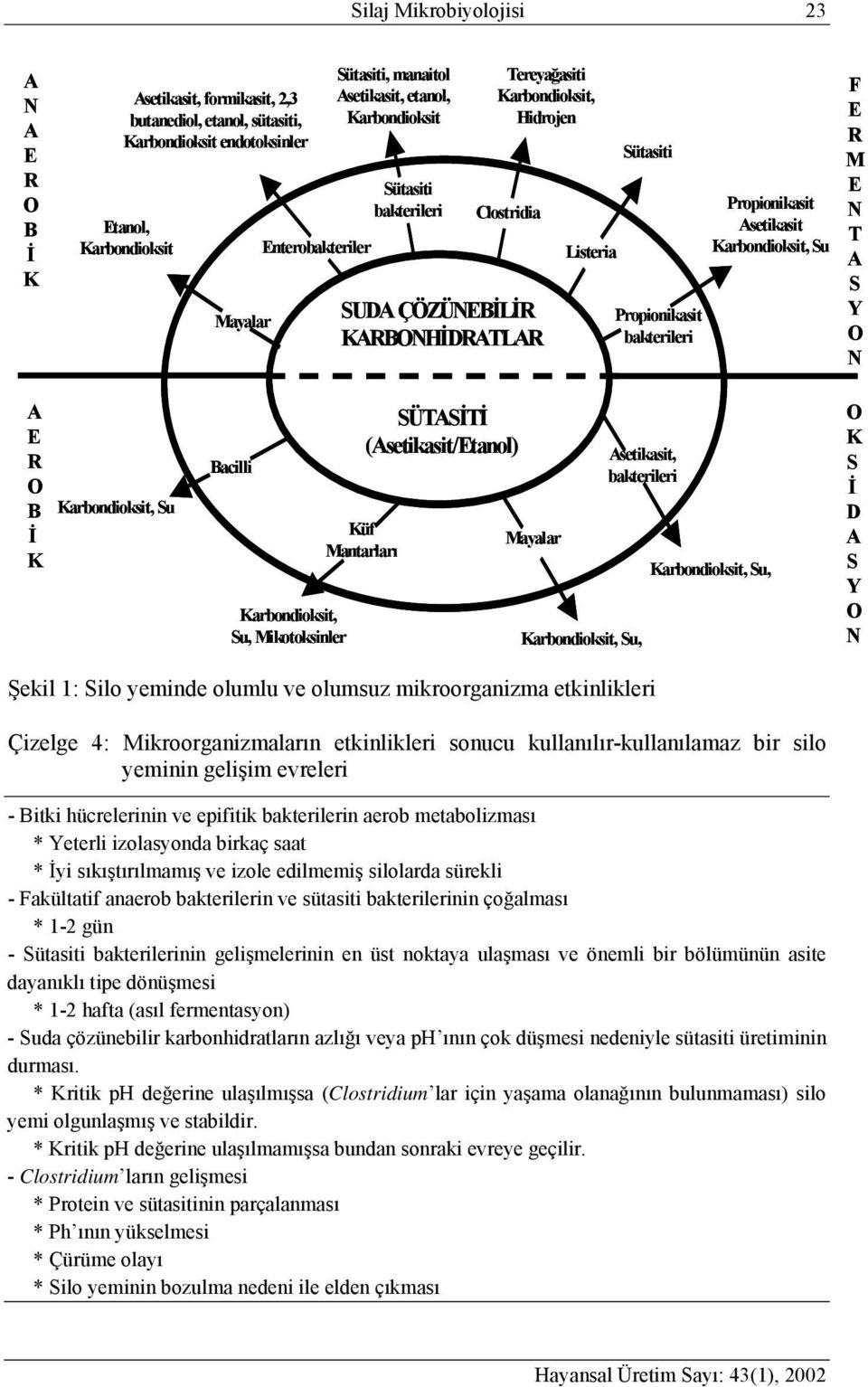 Asetikasit Karbondioksit, Su F E R M E N T A S Y O N A E R O B İ K Karbondioksit, Su Bacilli SÜTASİTİ (Asetikasit/Etanol) Asetikasit, bakterileri Küf Mayalar Mantarları Karbondioksit, Su,