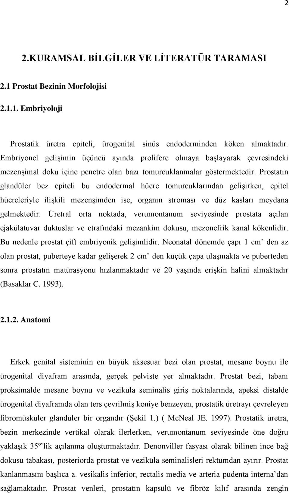 Prostatın glandüler bez epiteli bu endodermal hücre tomurcuklarından gelişirken, epitel hücreleriyle ilişkili mezenşimden ise, organın stroması ve düz kasları meydana gelmektedir.