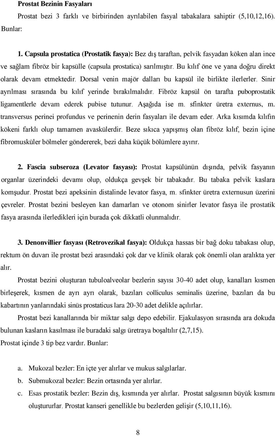 Bu kılıf öne ve yana doğru direkt olarak devam etmektedir. Dorsal venin majör dalları bu kapsül ile birlikte ilerlerler. Sinir ayrılması sırasında bu kılıf yerinde bırakılmalıdır.