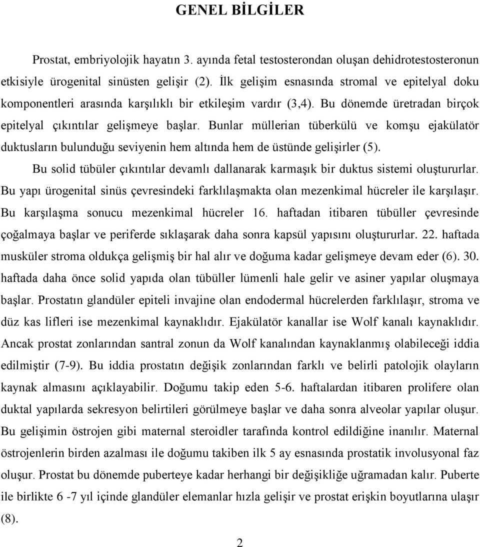 Bunlar müllerian tüberkülü ve komģu ejakülatör duktusların bulunduğu seviyenin hem altında hem de üstünde geliģirler (5).