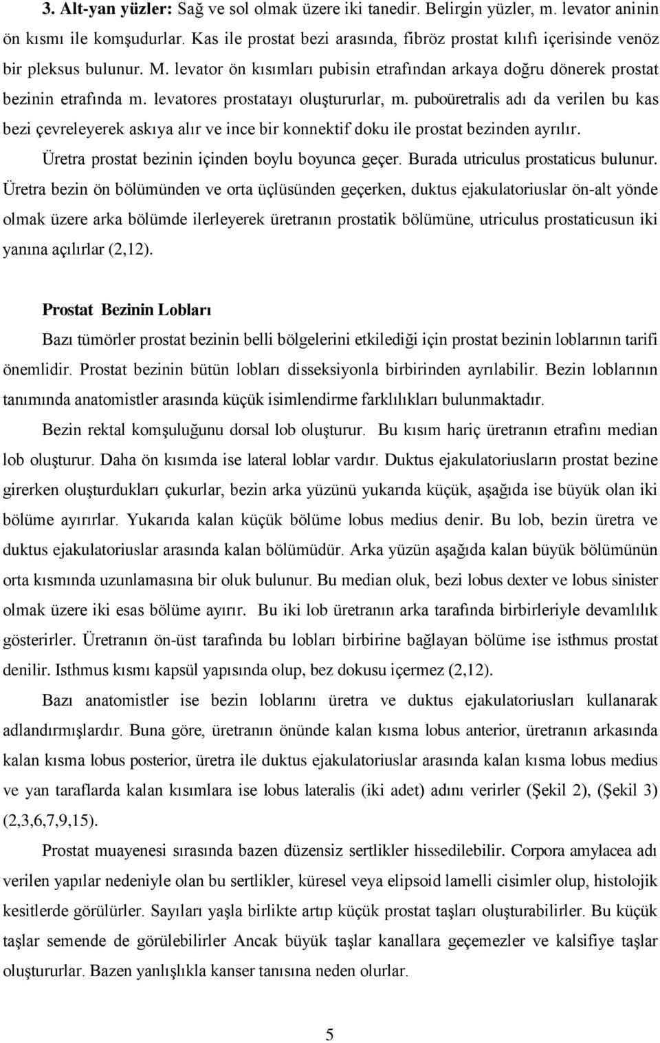 levatores prostatayı oluģtururlar, m. puboüretralis adı da verilen bu kas bezi çevreleyerek askıya alır ve ince bir konnektif doku ile prostat bezinden ayrılır.