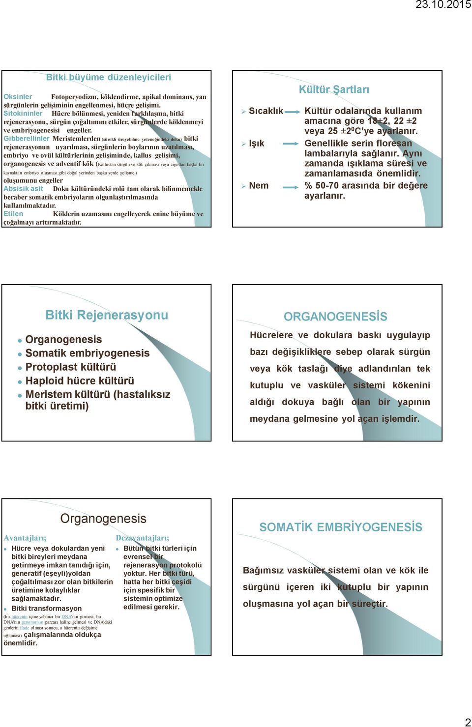 Gibberellinler Meristemlerden (sürekli üreyebilme yeteneğindeki doku) bitki rejenerasyonun uyarılması, sürgünlerin boylarının uzatılması, embriyo ve ovül kültürlerinin gelişiminde, kallus gelişimi,