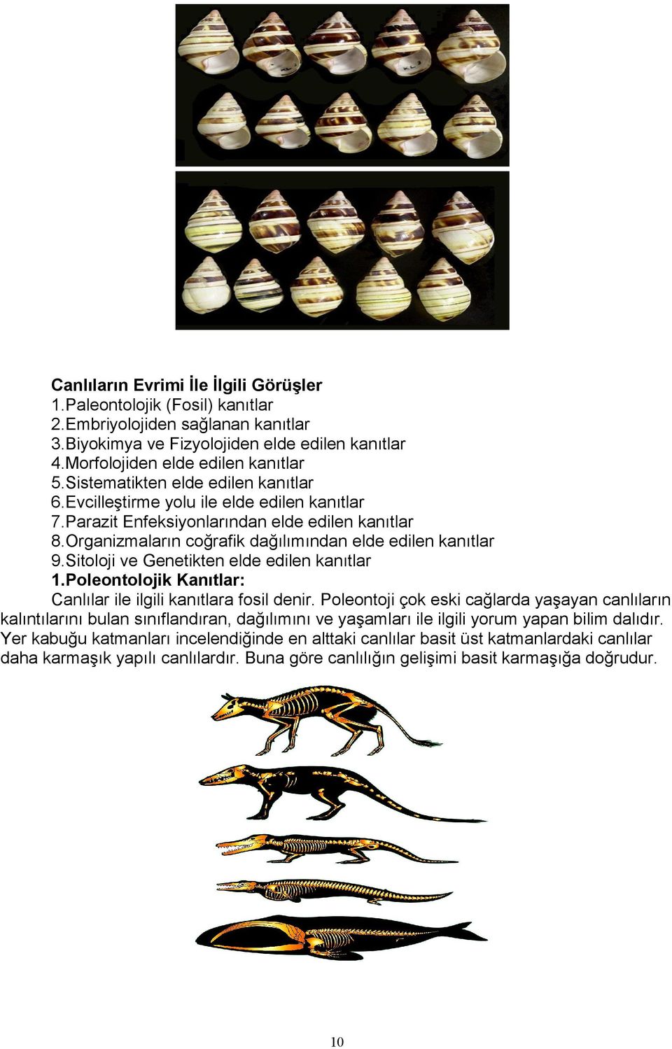Sitoloji ve Genetikten elde edilen kanıtlar 1.Poleontolojik Kanıtlar: Canlılar ile ilgili kanıtlara fosil denir.