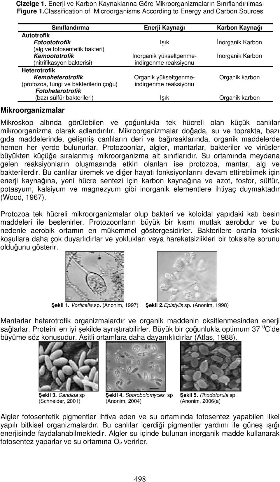 bakterisi) Heterotrofik Kemoheterotrofik (protozoa, fungi ve bakterilerin çoğu) Fotoheterotrofik (bazı sülfür bakterileri) Işık İnorganik yükseltgenmeindirgenme reaksiyonu Organik
