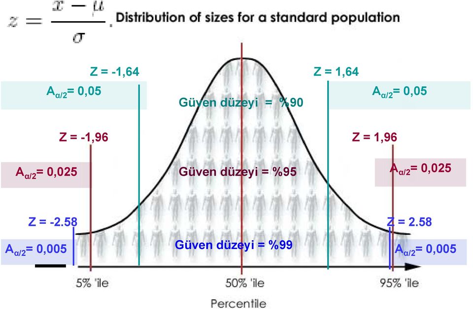 0,025 Güven düzeyi = %95 A α/2 = 0,025 Z = -2.