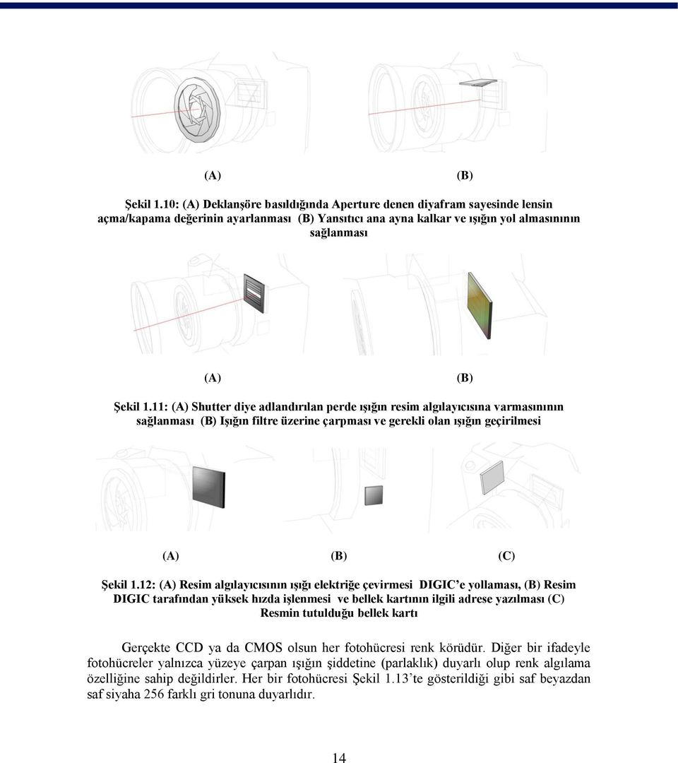 adlandırılan perde ışığın resim algılayıcısına varmasınının sağlanması (B) Işığın filtre üzerine çarpması ve gerekli olan ışığın geçirilmesi (A) (B) (C) Şekil 1.