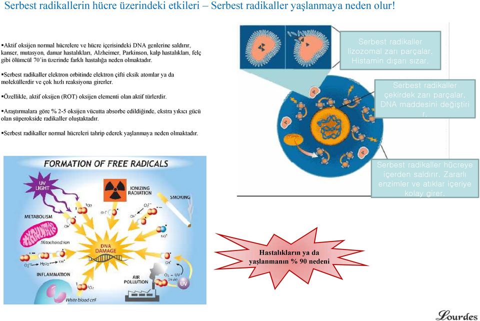 hastalığa neden olmaktadır. Serbest radikaller elektron orbitinde elektron çifti eksik atomlar ya da moleküllerdir ve çok hızlı reaksiyona girerler.