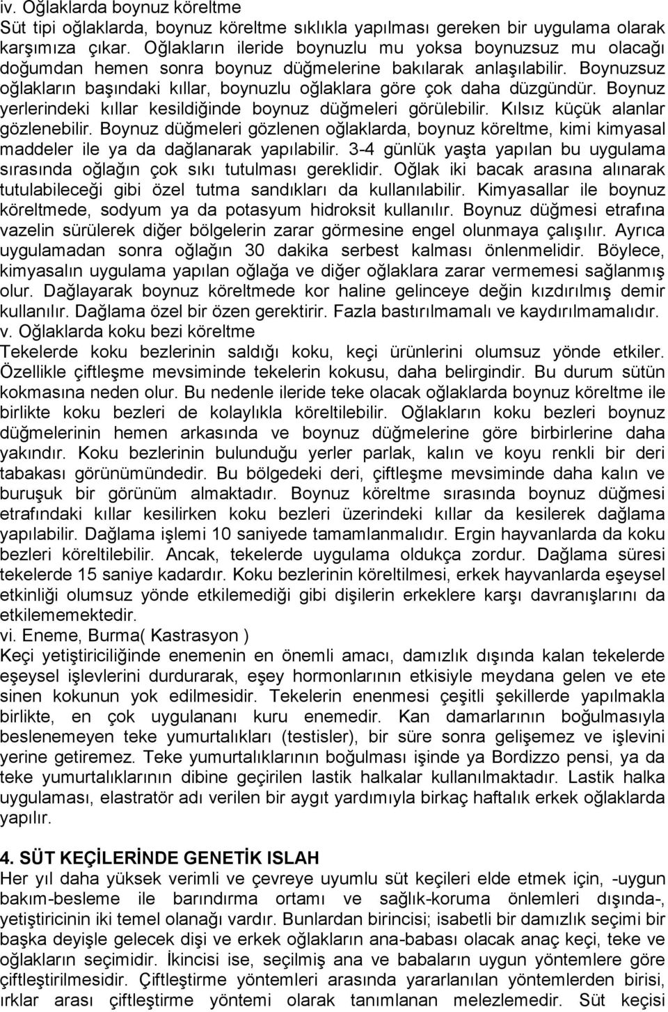 Boynuzsuz oğlakların başındaki kıllar, boynuzlu oğlaklara göre çok daha düzgündür. Boynuz yerlerindeki kıllar kesildiğinde boynuz düğmeleri görülebilir. Kılsız küçük alanlar gözlenebilir.