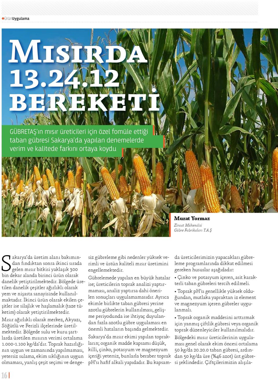 A.Ş Sakarya da üretim alanı bakımından fındıktan sonra ikinci sırada gelen mısır bitkisi yaklaşık 300 bin dekar alanda birinci ürün olarak danelik yetiştirilmektedir.