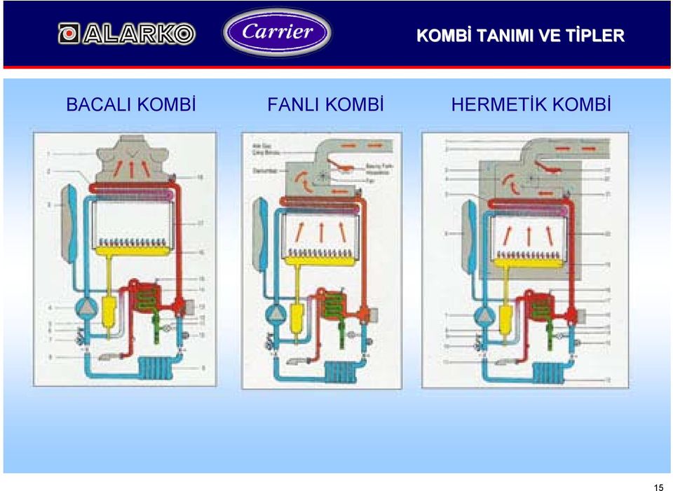 FANLI 