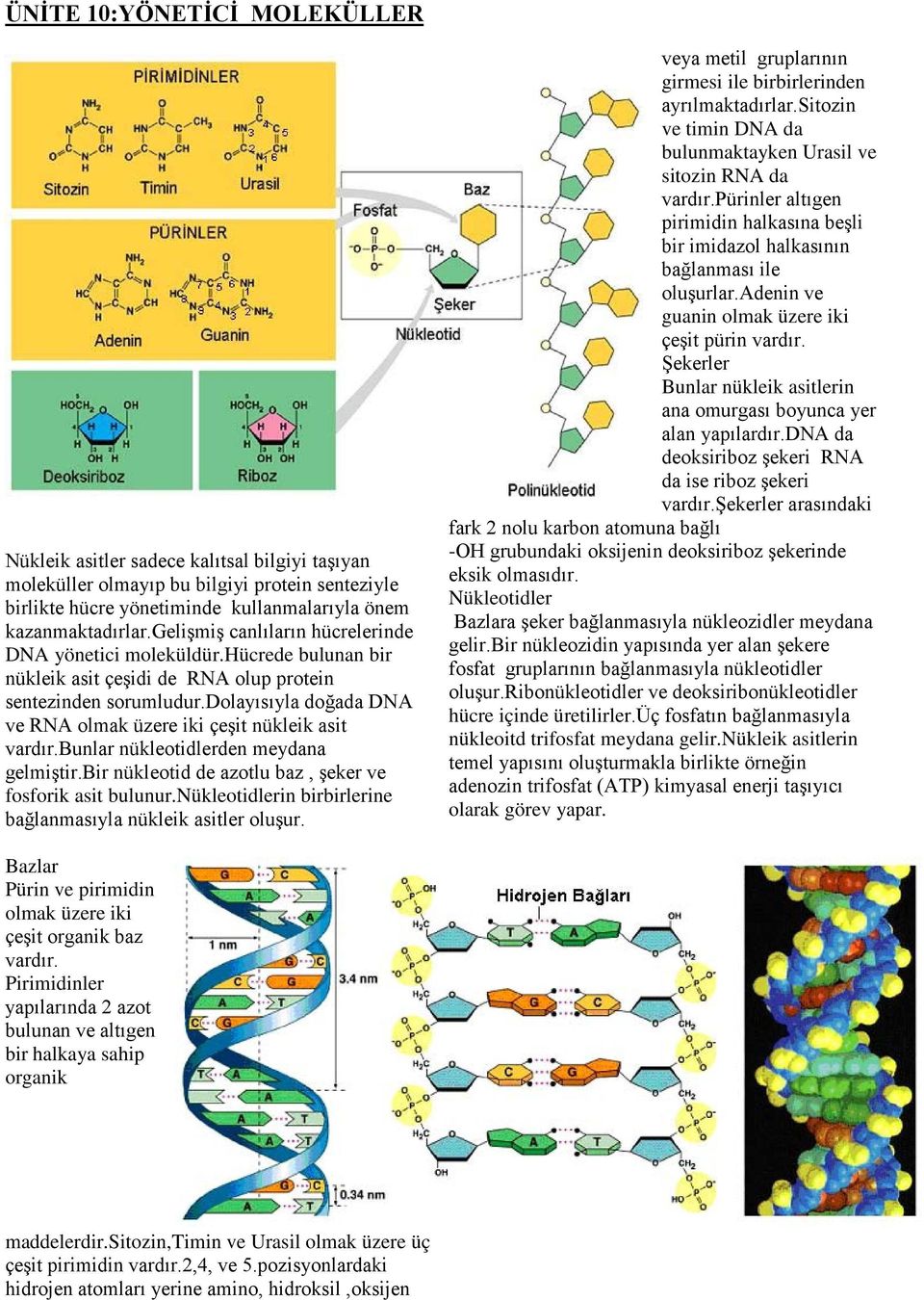 dolayısıyla doğada DNA ve RNA olmak üzere iki çeşit nükleik asit vardır.bunlar nükleotidlerden meydana gelmiştir.bir nükleotid de azotlu baz, şeker ve fosforik asit bulunur.