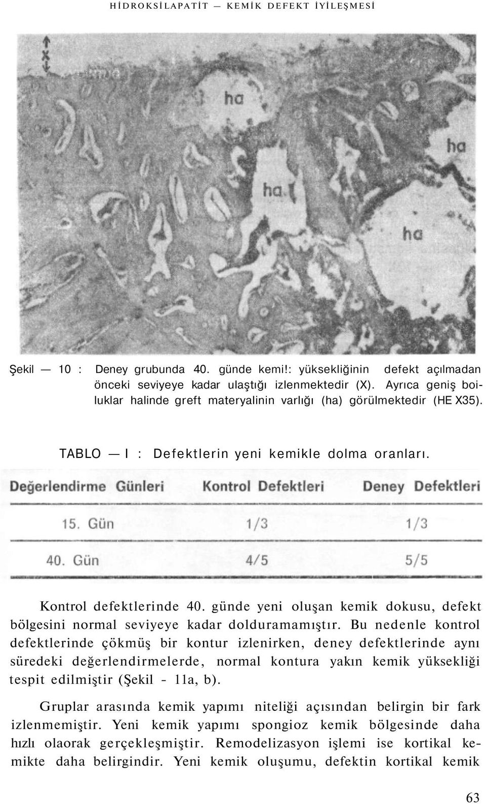 günde yeni oluşan kemik dokusu, defekt bölgesini normal seviyeye kadar dolduramamıştır.