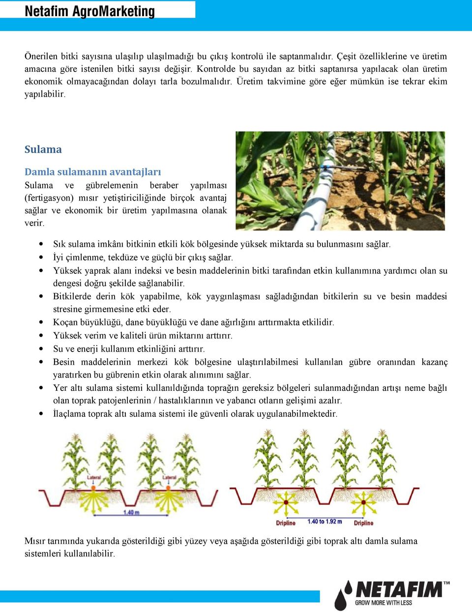 Sulama Damla sulamanın avantajları Sulama ve gübrelemenin beraber yapılması (fertigasyon) mısır yetiştiriciliğinde birçok avantaj sağlar ve ekonomik bir üretim yapılmasına olanak verir.