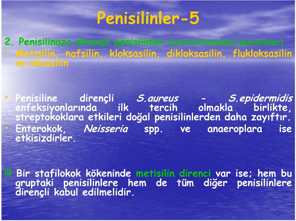 flukloksasilin ve oksasilin Penisiline dirençli S.aureus - S.