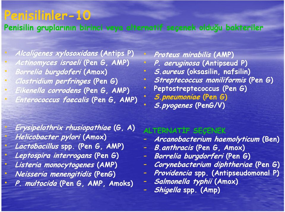 aureus (oksasilin, nafsilin) Clostridium perfringes (Pen G) Streptecoccus moniliformis (Pen G) Eikenella corrodens (Pen G, AMP) Peptostreptecoccus (Pen G) Enterococcus faecalis (Pen G, AMP) S.