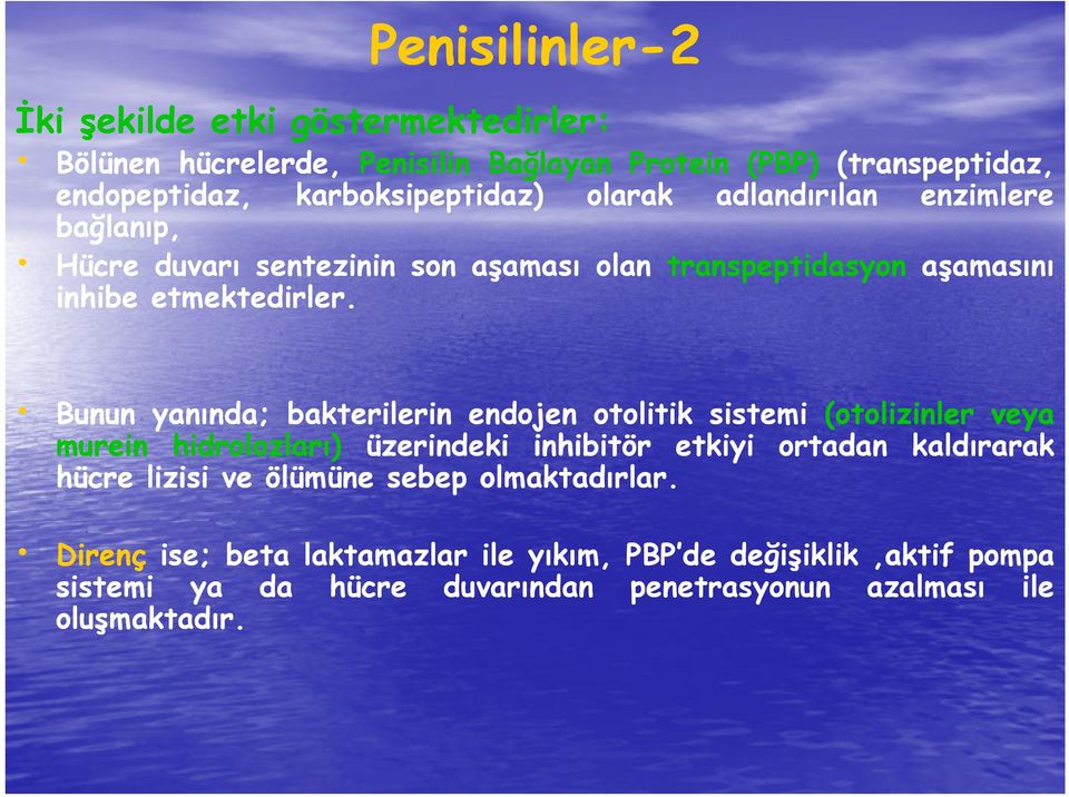 Bunun yanında; bakterilerin endojen otolitik sistemi (otolizinler veya murein hidrolozları) üzerindeki inhibitör etkiyi ortadan kaldırarak hücre lizisi