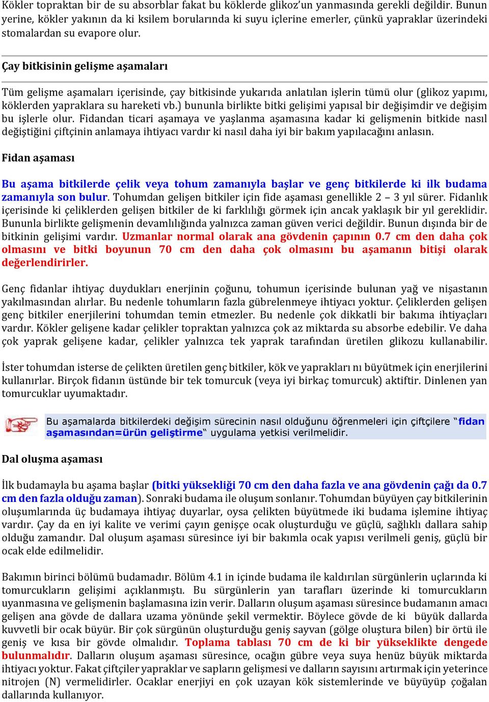 Çay bitkisinin gelişme aşamaları Tüm gelişme aşamaları içerisinde, çay bitkisinde yukarıda anlatılan işlerin tümü olur (glikoz yapımı, köklerden yapraklara su hareketi vb.