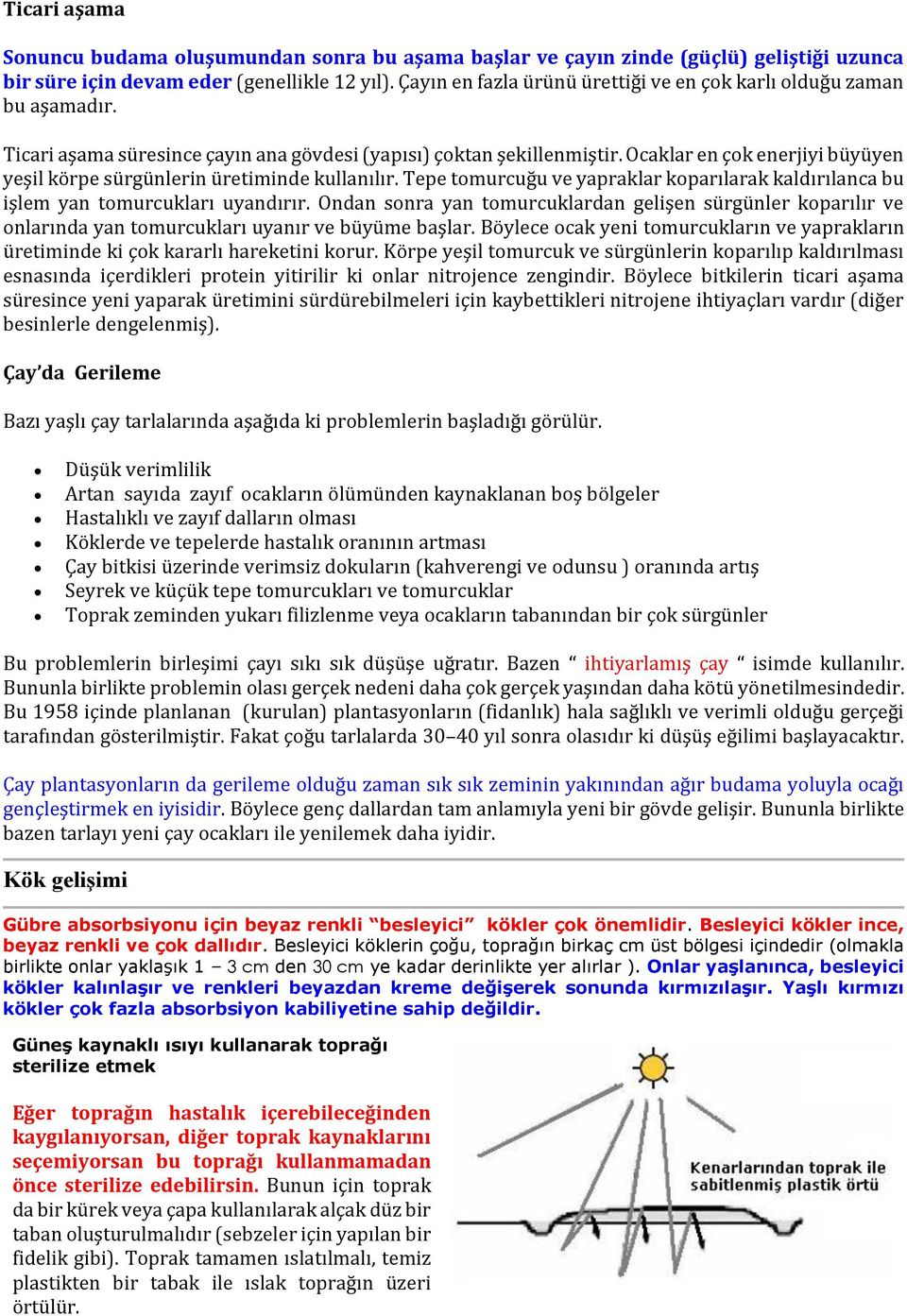 Ocaklar en çok enerjiyi büyüyen yeşil körpe sürgünlerin üretiminde kullanılır. Tepe tomurcuğu ve yapraklar koparılarak kaldırılanca bu işlem yan tomurcukları uyandırır.