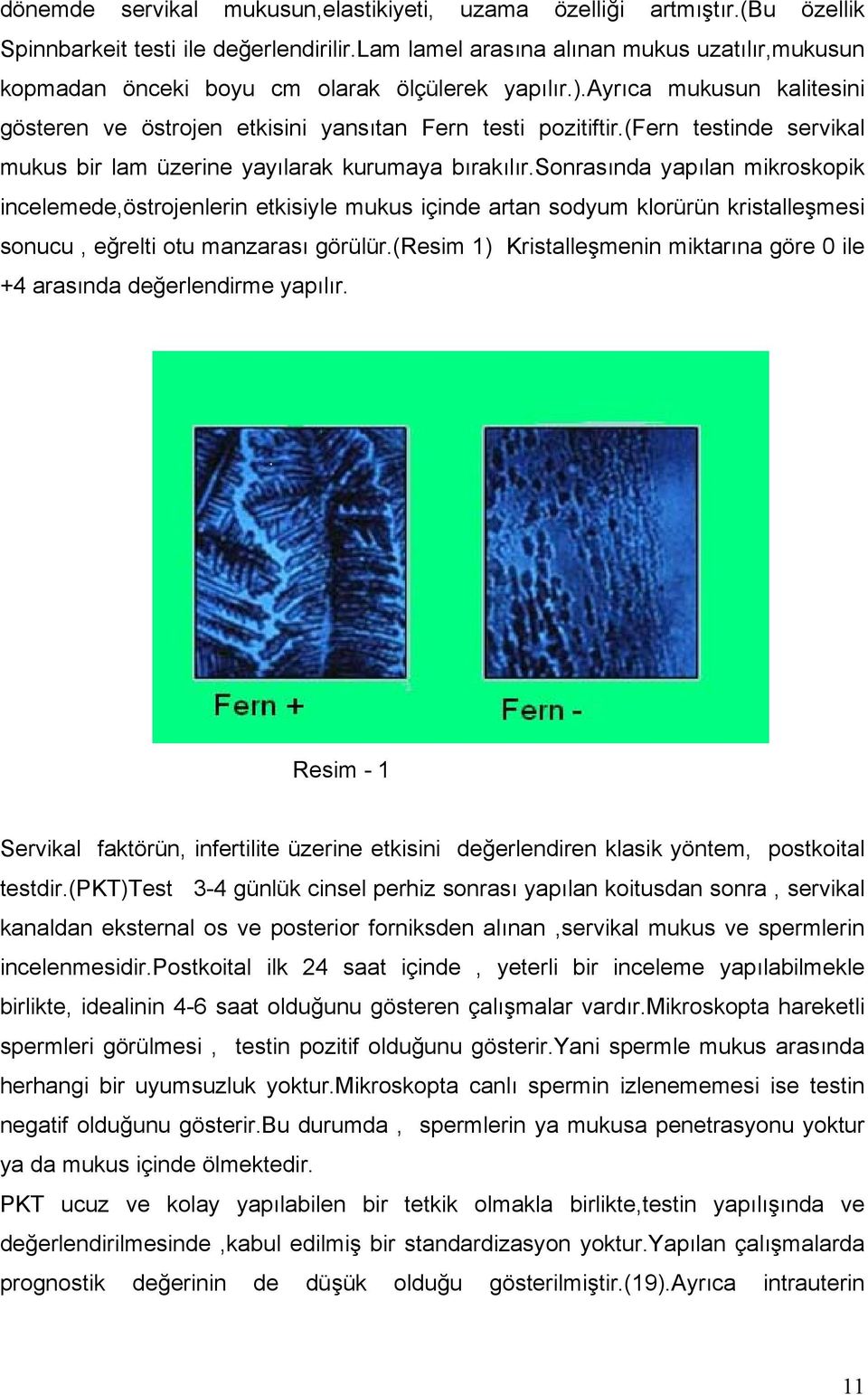 (fern testinde servikal mukus bir lam üzerine yayılarak kurumaya bırakılır.