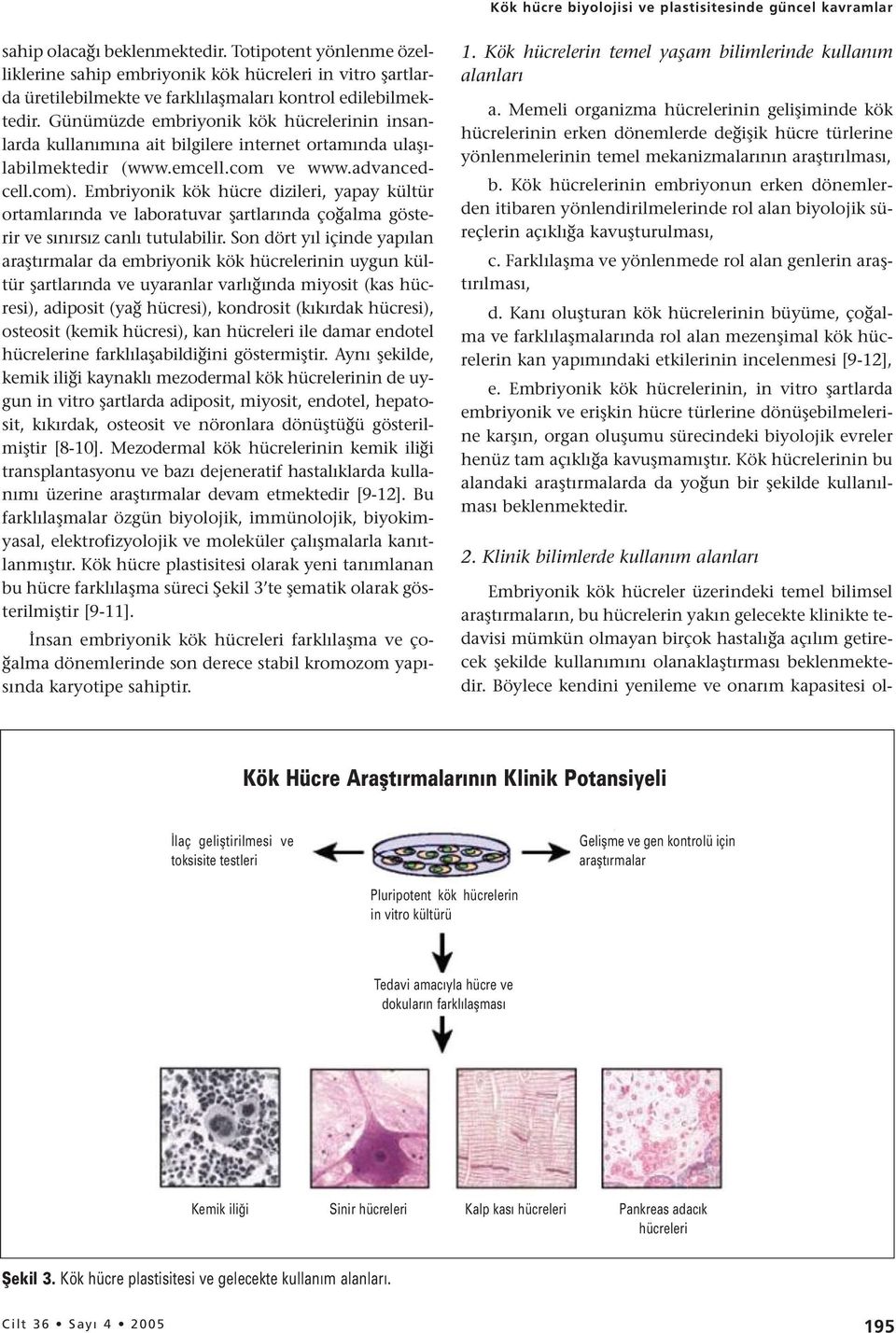 Günümüzde embriyonik kök hücrelerinin insanlarda kullanımına ait bilgilere internet ortamında ulaşılabilmektedir (www.emcell.com ve www.advancedcell.com).