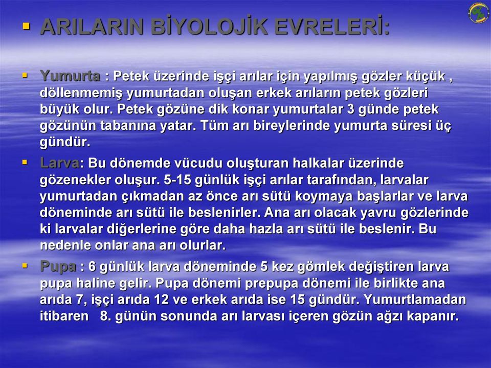 5-15 günlük işçi arılar tarafından, larvalar yumurtadan çıkmadan az önce arı sütü koymaya başlarlar ve larva döneminde arı sütü ile beslenirler.