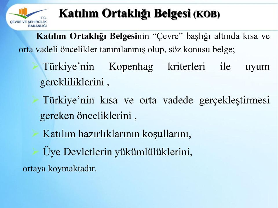 ile uyum gerekliliklerini, Türkiye nin kısa ve orta vadede gerçekleştirmesi gereken