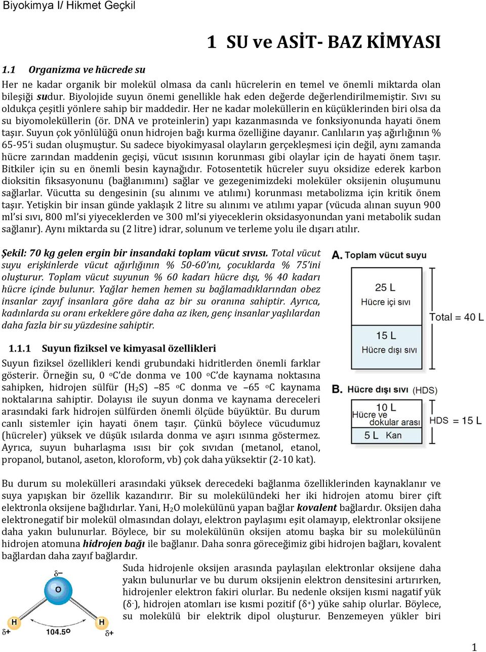 Her ne kadar moleküllerin en küçüklerinden biri olsa da su biyomoleküllerin (ör. DNA ve proteinlerin) yapı kazanmasında ve fonksiyonunda hayati önem taşır.