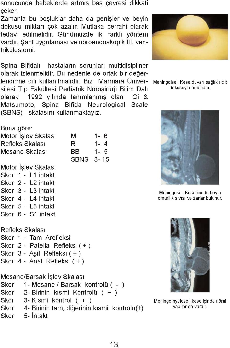 Bu nedenle de ortak bir deðerlendirme dili kullanýlmalýdýr.