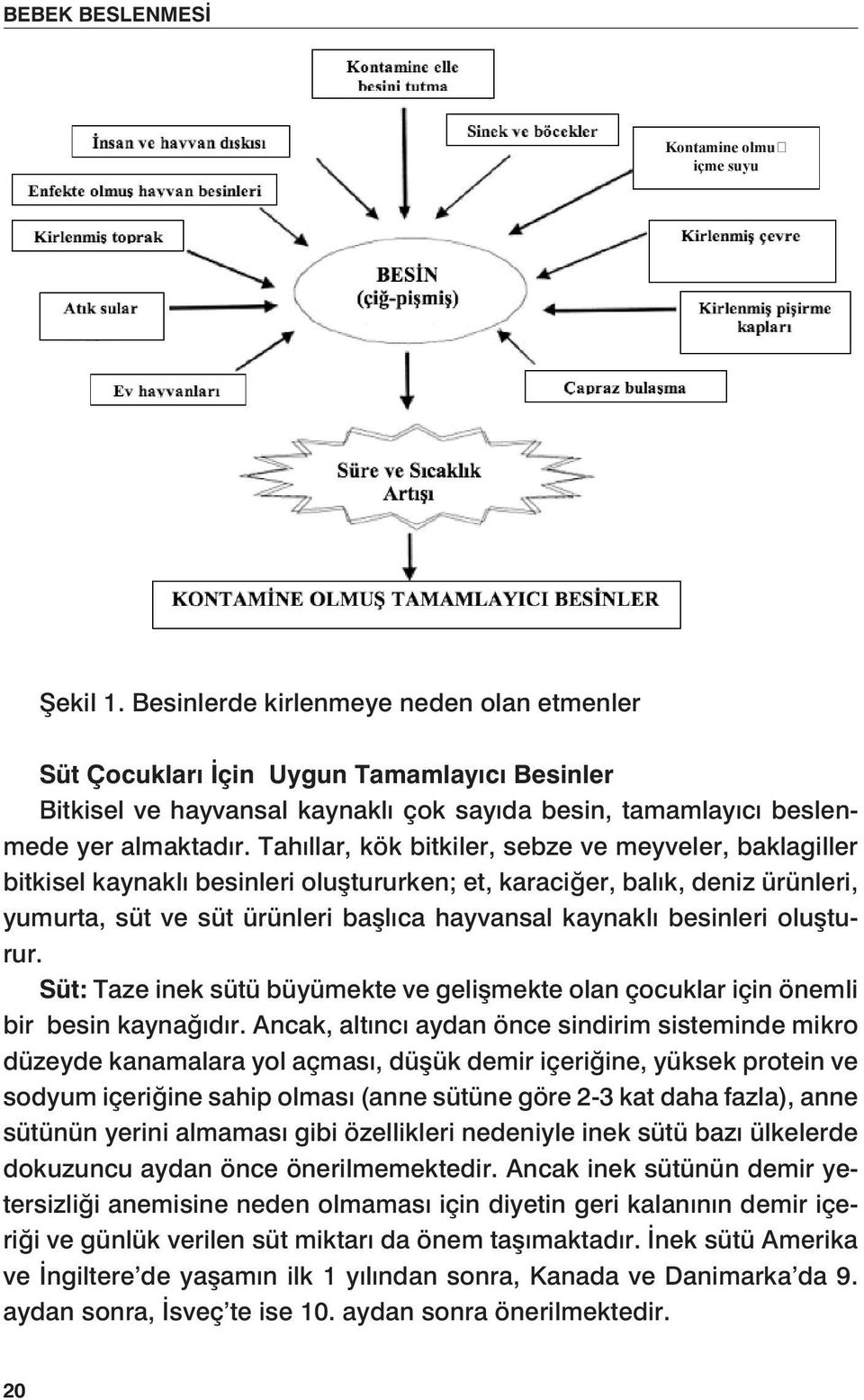 Tahıllar, kök bitkiler, sebze ve meyveler, baklagiller bitkisel kaynaklı besinleri oluştururken; et, karaciğer, balık, deniz ürünleri, yumurta, süt ve süt ürünleri başlıca hayvansal kaynaklı