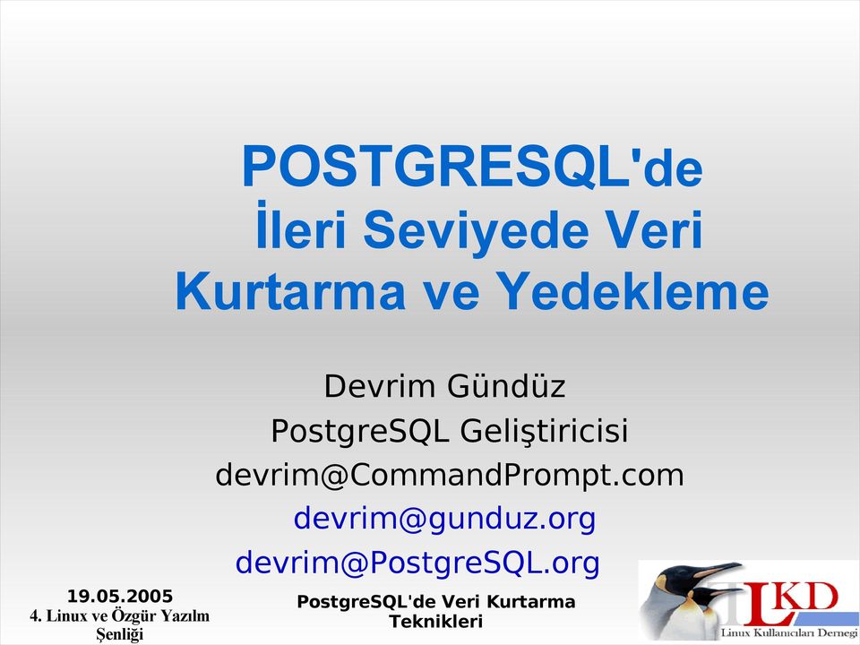 PostgreSQL Geliştiricisi