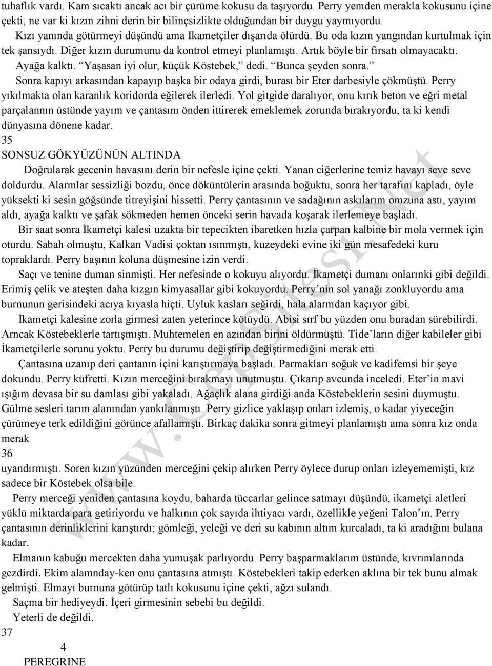 Artık böyle bir fırsatı olmayacaktı. Ayağa kalktı. Yaşasan iyi olur, küçük Köstebek, dedi. Bunca şeyden sonra.